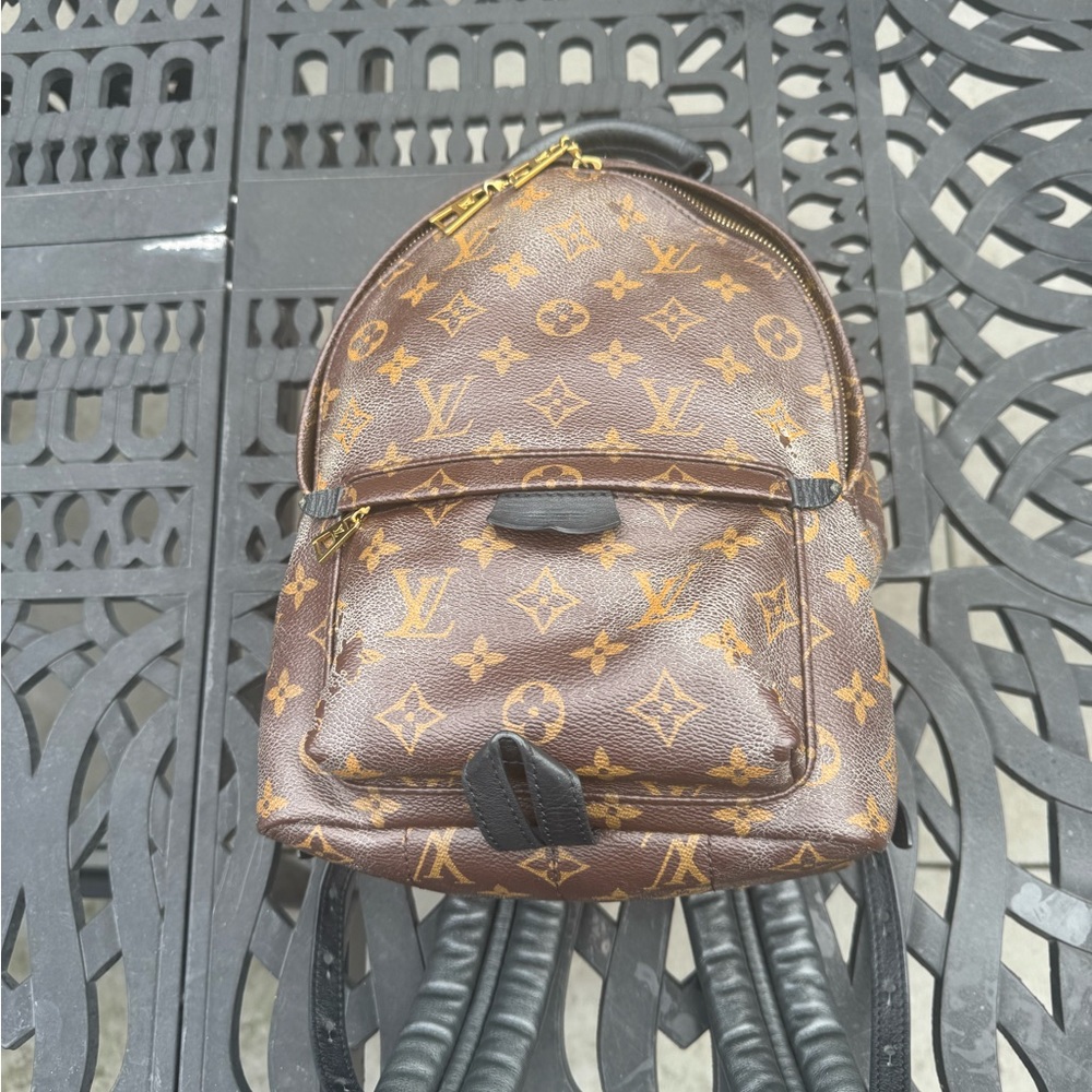 Louis Vuitton Monogrammed Palm Springs PM - Picture 15 of 16